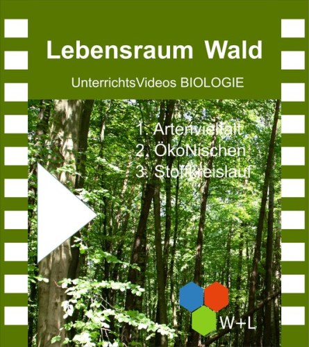 Unterrichts-Video_Lebensraum Wald.jpg